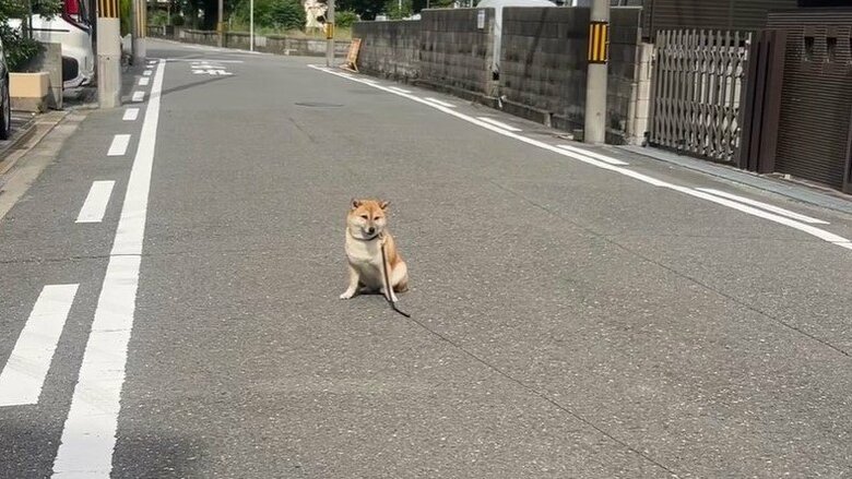 晴れの日も当然のように帰宅拒否する