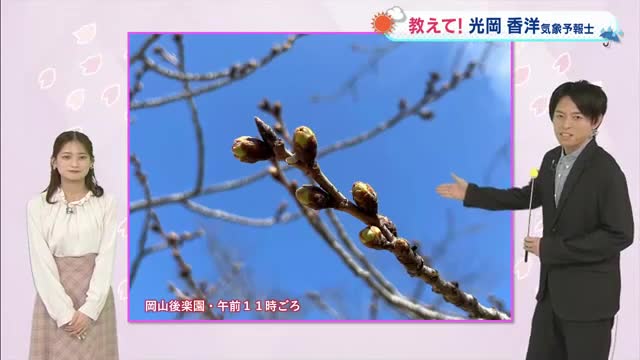 【光岡気象予報士のお天気解説】３月１８日（水）「まとまった雨　気温も上がらず」【岡山・香川】