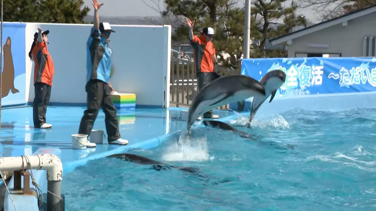 ドルフィンライブ　露出 復興】「のとじま水族館」が“1年3カ月ぶり”全面再開 入場料値上げに「あまりにも嬉しい」歓迎の声  能登半島地震でジンベエザメなど約3400匹が犠牲に…｜FNNプライムオンライン