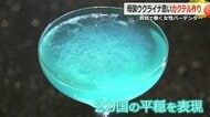 ウクライナ出身の21歳女性バーテンダー　2国の平穏願うオリジナルカクテル「ルトゥール（帰路）」で全国大会へ