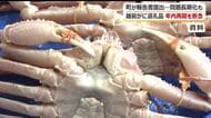 「越前がに」返礼品の不正表示問題　越前町が経緯や再発防止策まとめた報告書を総務省に提出　年内のカニ関連返礼品の再開は断念