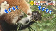 1日の食事代は12万円…食欲いっぱいの動物たち　動物園の「台所」に潜入【愛媛発】