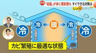 【解説】窓の結露でカビ繁殖…肺炎や気管支炎などアレルギー症状のリスク増大　対策は“換気”以外にも「食器用洗剤で溶かした水での窓拭き」なども有効