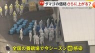 タマゴまた値上がり…“盛り盛り”タマゴサンドが大好評の喫茶店は「我慢するしかない」　北海道では今季初の鳥インフルエンザ感染