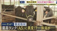 もはや「育て方で100%出る」という憧れの「A5ランク」和牛　「A5の特別感はない」と精肉店関係者　本当においしいA5の選び方は「霜降りの入り方」と「脂の質」