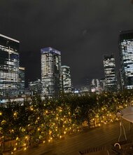 2024年11月版のデータ整備を行いました。