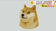 【モデルは千葉県で暮らす犬】ツイッターロゴ変更 “青い鳥”から“柴犬”に　マスクCEO「約束を守った」　アプリ版変わらず