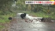 冬眠から覚めるクマ　専門家「恐れ過ぎず人の存在アピールを」　朝晩の1人行動は控えるよう注意　秋田