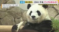 【緊急取材】アドベンチャーワールドで過ごしたパンダ　 中国に返還　現地の暮らしは　「万博会場2つ分・野生の生息地に模した環境」