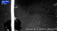 秦野市　ツキノワグマ1頭を駆除　山奥に放すも再び捕獲