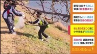 「みなみの桜と菜の花まつり」にむけ小中学生が川沿いを清掃 静岡・南伊豆町
