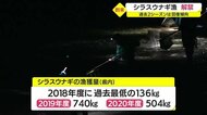 シラスウナギ漁解禁 過去2シーズンは回復傾向・鹿児島県