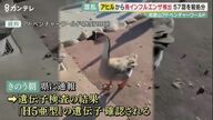アヒルから“鳥インフルエンザ”　和歌山アドベンチャーワールド　エミューも殺処分　【和歌山】