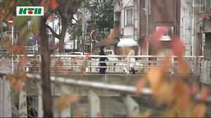 22日は小雪 長崎では雪ではなく小雨 これから冷え込む