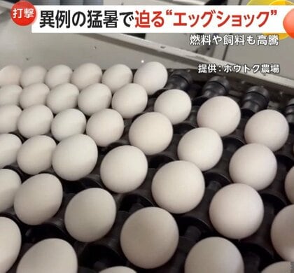 卵の価格が再び高騰…迫る“エッグショック”がケーキにも打撃　仕入れ値は去年春の1.5倍に