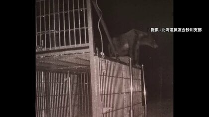 おりに入らず「箱わな」の危険を学習か…熊に異変　今年は「より凶暴化」の声も…牙がボロボロになるまで暴れる　温泉旅館や大学にも“熊出没”