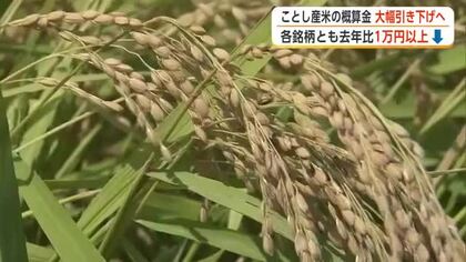2026年産米JA概算金、あきたこまち1万8300円　前年を1万円下回る　他銘柄も大幅引き下げ　秋田