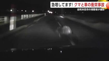 「会社から帰宅中に突然目の前に」　クマと車が衝突の瞬間をドライブレコーダーが捉える　秋田・由利本荘市