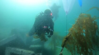 5年はがれきを引き上げる毎日…日本人初“海のヒーロー”に選ばれたダイバー 三陸の海への思い【岩手発】