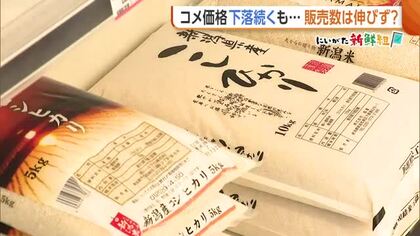 【コメ価格】「買いやすい」“価格下落”続き5kg3373円に　客から歓迎の声も販売数は伸びず「もう少し安くなるのではという心理が…」新潟