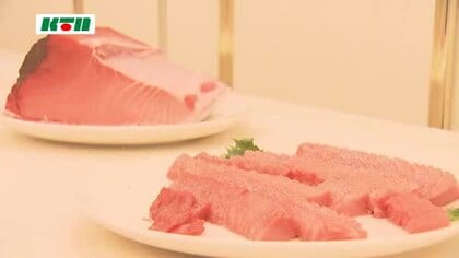 「赤身からトロまでグラデーションがきれいに入っている」養殖クロマグロ生産量日本一の長崎でNO.1は…