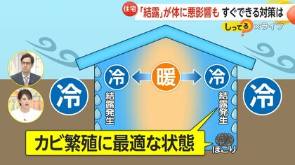 【解説】窓の結露でカビ繁殖…肺炎や気管支炎などアレルギー症状のリスク増大　対策は“換気”以外にも「食器用洗剤で溶かした水での窓拭き」なども有効