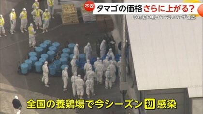 タマゴまた値上がり…“盛り盛り”タマゴサンドが大好評の喫茶店は「我慢するしかない」　北海道では今季初の鳥インフルエンザ感染