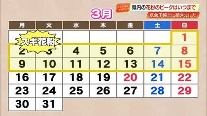 【高知】スギ花粉は今がピーク！3月上旬まではスギ花粉、徐々にヒノキ花粉へと変わっていく予想