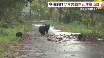 冬眠から覚めるクマ　専門家「恐れ過ぎず人の存在アピールを」　朝晩の1人行動は控えるよう注意　秋田