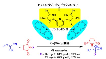 廃棄物を生じずにハロゲンと窒素を導入 高付加価値化合物の環境調和型開発に期待
