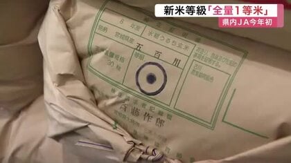 大崎市で新米の等級検査　極早生種「五百川」全量１等米判定も…概算金引き下げに農家複雑〈宮城〉