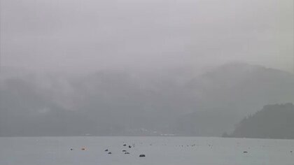 「雨は恵みです」大船渡の山火事発生から1週間…初のまとまった雪や雨で延焼収束に期待の声　焼失面積は市の9%に達する