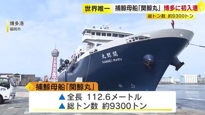 世界で唯一の捕鯨母船「関鯨丸」　博多港に初入港　21日に船内を一般公開　福岡