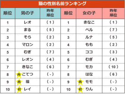 5年分のトレンドも振り返る ペットの名前ランキング 犬 ココ と猫 レオ が連覇達成 令和ネームも増加中