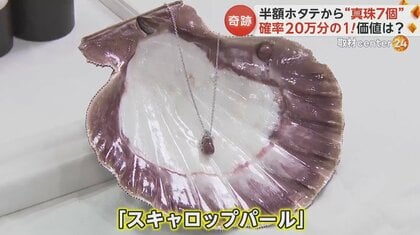 まさか】スーパーの322円の“半額”ホタテから真珠7個！真珠がとれる確率