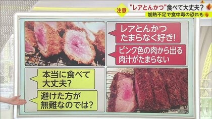 レアとんかつ”が物議…食べても大丈夫？加熱不十分でE型肝炎や寄生虫の