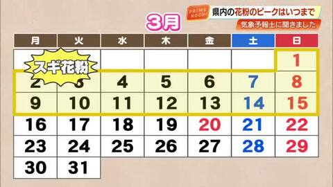 【高知】スギ花粉は今がピーク！3月上旬まではスギ花粉、徐々にヒノキ花粉へと変わっていく予想