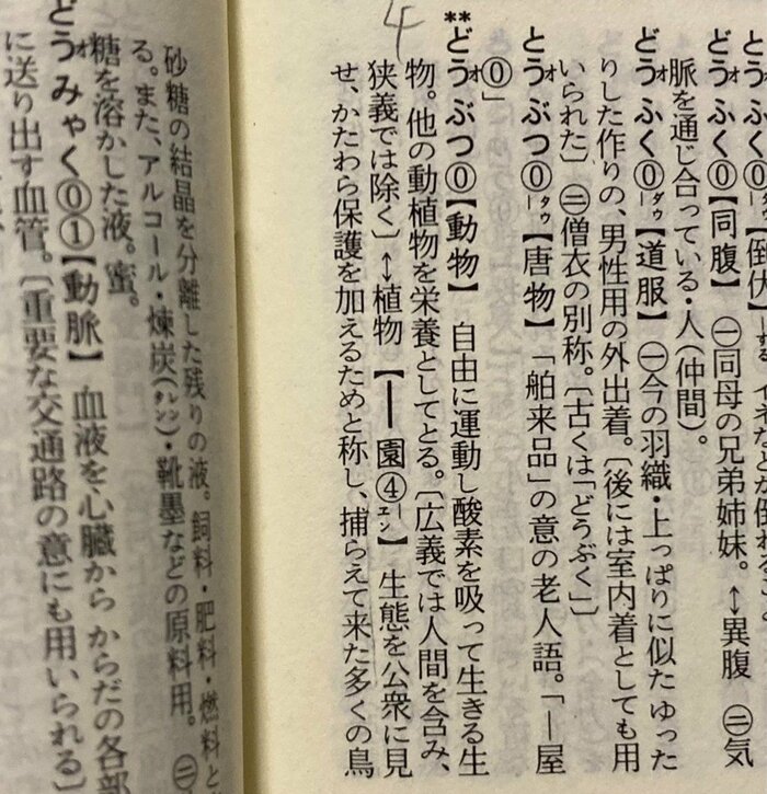 新明解四版(1989年発行)の「動物園」。※解説や例文の表現は当時のもの