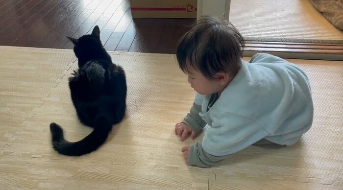 やっぱり触れない!