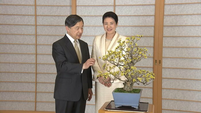 令和5(2023)年2月 サンシュユの盆栽をご覧になる両陛下