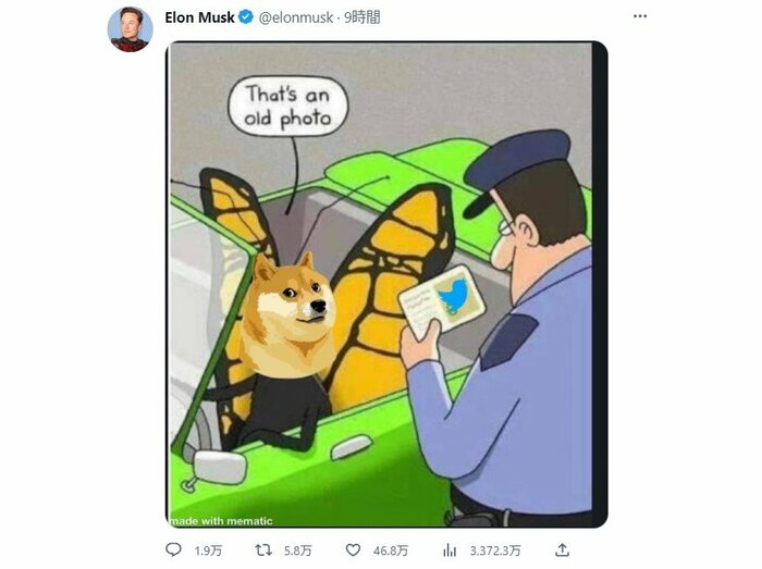 イーロン・マスクCEOがツイートした犬の画像