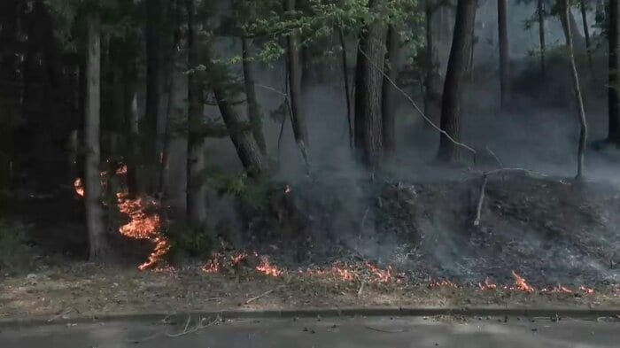 道路わきにまで迫る炎（4月24日）