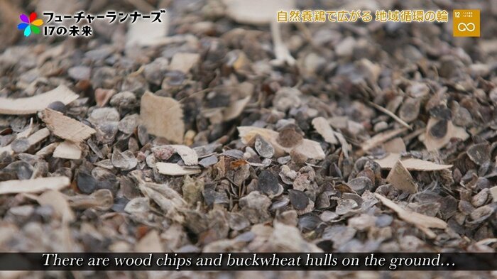 ニワトリの足元には木片やそば殻
