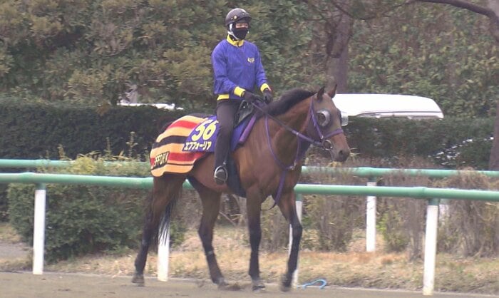 エフフォーリア