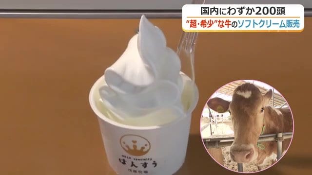 カップ入りレギュラーサイズ800円
