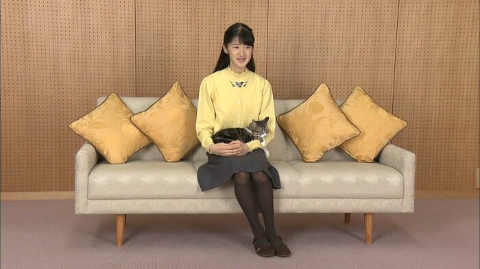 愛猫のセブンと一緒に