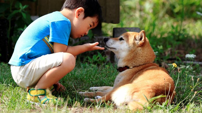 小さな子供やペットは誤食に注意を(画像はイメージ)