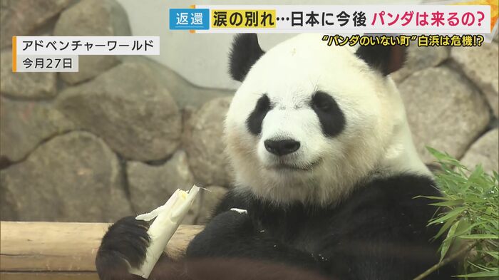 返還前のパンダ