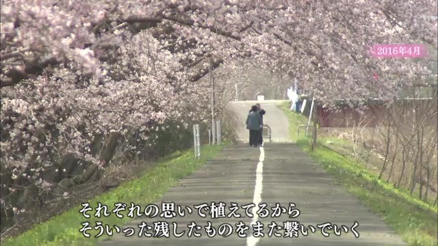 2016年4月撮影