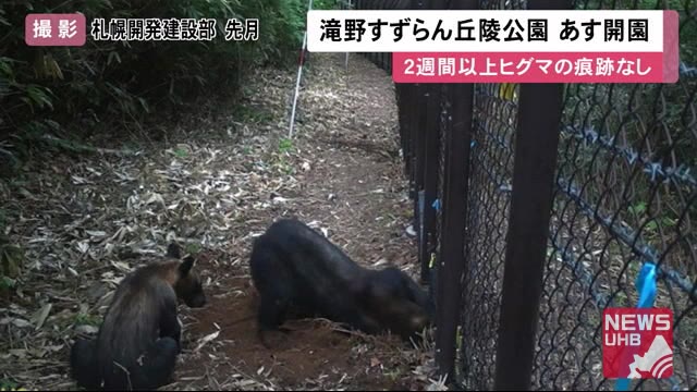 ようやく7月11日に開園へ…親子グマ「2週間以上痕跡なし」滝野すずらん丘陵公園 外周柵の侵入対策完了